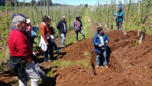 En La Araucanía se desarrolla curso de Producción y Manejo Hortícola