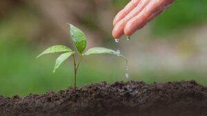 Corfo busca nuevas soluciones tecnológicas para mitigar la eficiencia y escasez hídrica en tres regiones del país