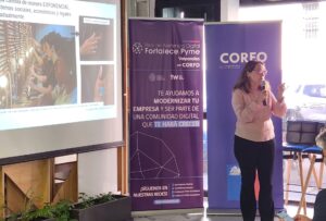 Corfo y la Red Fortalece Pyme desarrollaron el primer conversatorio en el marco de la Semana de las Mipymes y Cooperativas