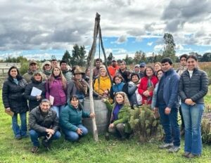 Productores de berries de La Araucanía se capacitaron en agricultura orgánica