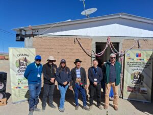Arica y Parinacota: Inauguran la primera charquería de camélidos donde comienza Chile
