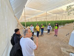 Conocerán en España usos de insectos benéficos para producción agrícola sin pesticidas