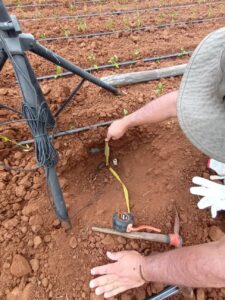 Corfo y Gobierno Regional de Coquimbo constituyen Comité de Desarrollo Productivo