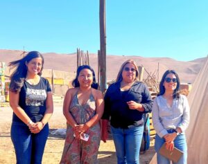 O’Higgins HortiCrece impulsa estudio para fortalecer la conexión entre productores y consumidores en Arica y Parinacota