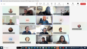 Subcomité de Innovación y Emprendimiento de O’Higgins aprobó alrededor de 900 millones de pesos para Innova Región y Viraliza