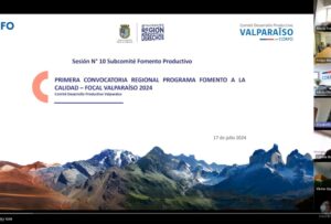 Comité de Desarrollo Productivo Regional entrega apoyo directo al desarrollo de las pymes en Valparaíso