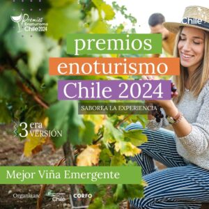 Extienden plazo postulación Premios Enoturismo Chile 2024