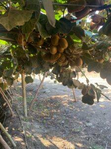 Ciren realizó demostraciones de tecnología de monitoreo para mejorar la gestión hídrica