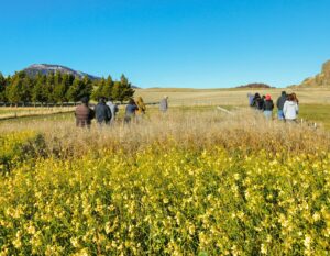 Investigadores destacan avances en programa para potenciar cultivos industriales en Aysén