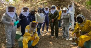 Pymes apícolas de Ñuble se reúnen con sus pares en Lima