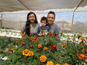 Arica y Parinacota: Agroinnovadora usa tecnologías para mejorar sus cultivos hidropónicos