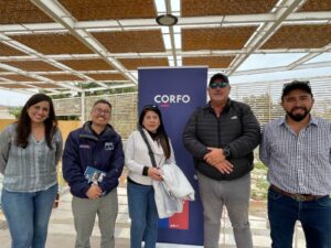 Arica y Parinacota: Pymes hortícolas asistirán a ferias agrícolas en la zona central