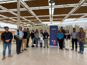 Arica y Parinacota: Revisaron programas agrícolas para ser presentados al FNDR