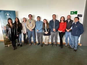 Los Lagos fortalece su liderazgo en la producción de carne bovina de alta calidad