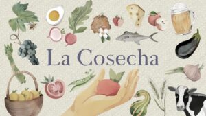 Estrenan serie de TV sobre casos de innovación agroalimentaria en la Región de Los Ríos