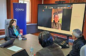 Ruta de los Parques de la Patagonia conforma su gobernanza regional en Los Lagos