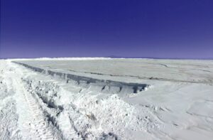 Declaración Pública