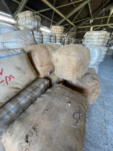 Modernización y nuevas oportunidades para productores de lana en Aysén